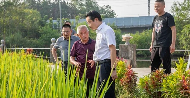 黄伟雄调研粮食生产和国债项目推进情况