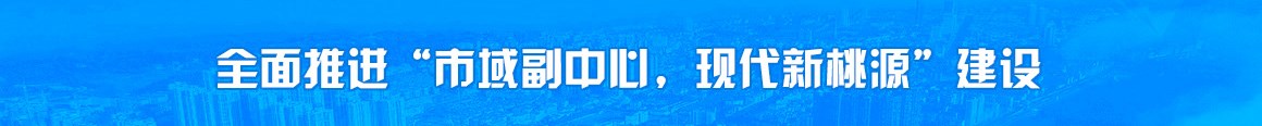 全面推进“市域副中心，现代新桃源”建设