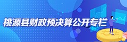 桃源县财政预决算公开专栏